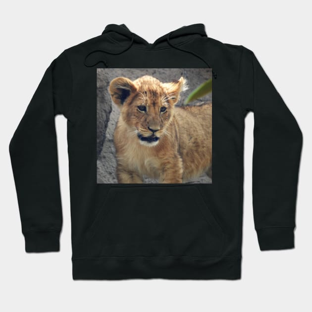 Lion Cub Hoodie by kirstybush